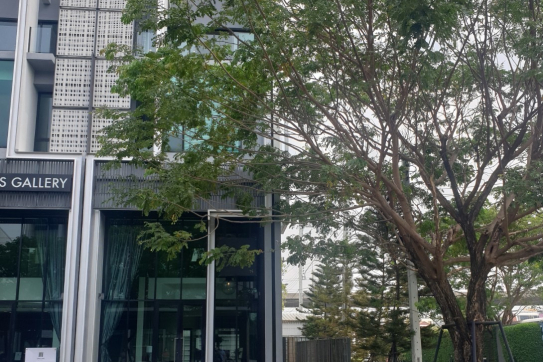 K140225-01.jpg
